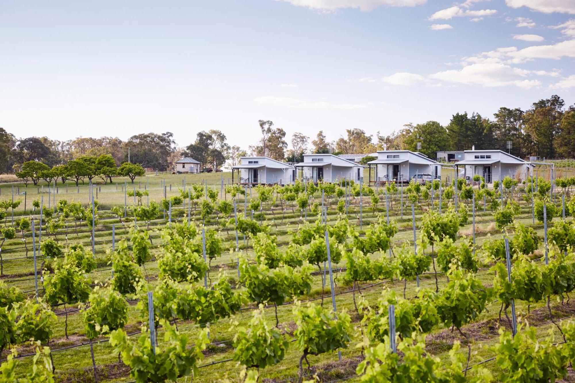 Ridgemill Estate Aparthotel Stanthorpe Exterior foto